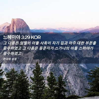 Picture 02 - 느헤미야 3:29 KOR - 그 다음은 임멜의 아들 사독이 자기 - Bible Verse Picture