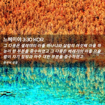 Picture 02 - 느헤미야 3:30 KOR - 그 다음은 셀레먀의 아들 하나냐와 - Bible Verse Picture