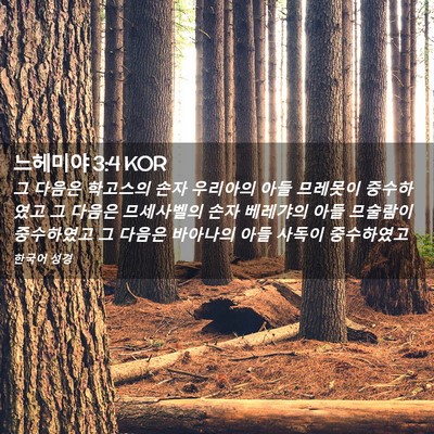 Picture 02 - 느헤미야 3:4 KOR - 그 다음은 학고스의 손자 우리아의 - Bible Verse Picture