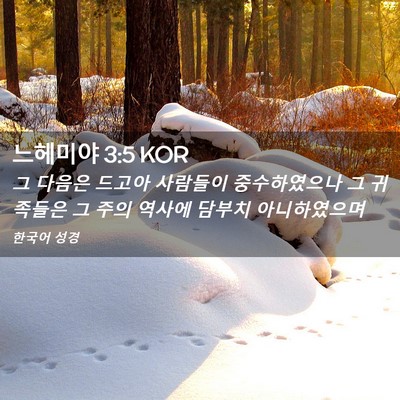 Picture 02 - 느헤미야 3:5 KOR - 그 다음은 드고아 사람들이 - Bible Verse Picture
