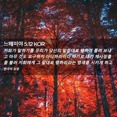 Picture 02 - 느헤미야 5:12 KOR - 저희가 말하기를 우리가 당신의 - Bible Verse Picture