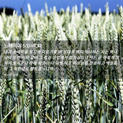 Picture 02 - 느헤미야 5:13 KOR - 내가 옷자락을 떨치며 이르기를 이 - Bible Verse Picture