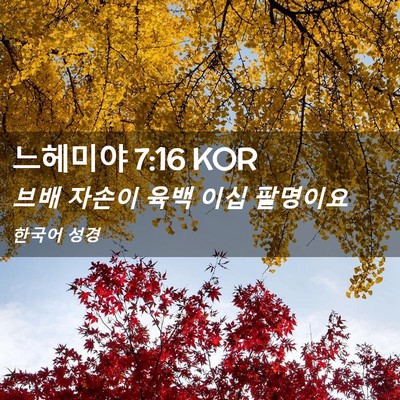 Picture 02 - 느헤미야 7:16 KOR - 브배 자손이 육백 이십 - Bible Verse Picture