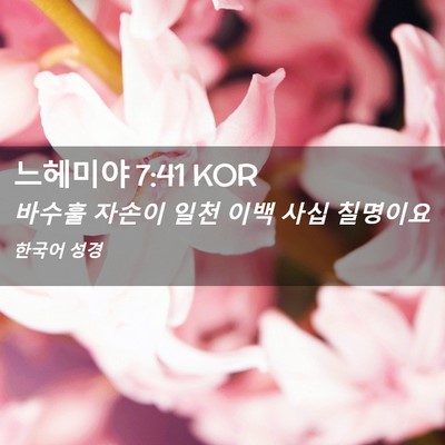 Picture 02 - 느헤미야 7:41 KOR - 바수훌 자손이 일천 이백 사십 - Bible Verse Picture