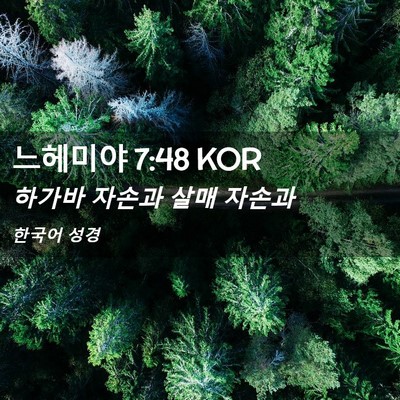 Picture 02 - 느헤미야 7:48 KOR - 하가바 자손과 살매 - Bible Verse Picture