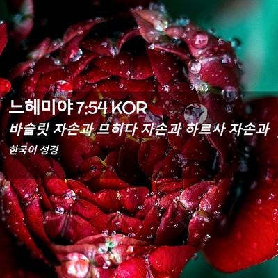 Picture 02 - 느헤미야 7:54 KOR - 바슬릿 자손과 므히다 자손과 하르사 - Bible Verse Picture