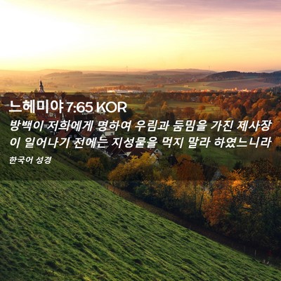 Picture 02 - 느헤미야 7:65 KOR - 방백이 저희에게 명하여 우림과 - Bible Verse Picture