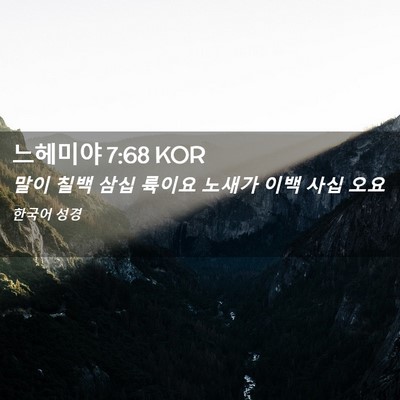 Picture 02 - 느헤미야 7:68 KOR - 말이 칠백 삼십 륙이요 노새가 이백 - Bible Verse Picture