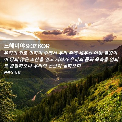 Picture 02 - 느헤미야 9:37 KOR - 우리의 죄로 인하여 주께서 우리 - Bible Verse Picture