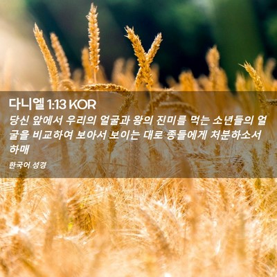 Picture 02 - 다니엘 1:13 KOR - 당신 앞에서 우리의 얼굴과 왕의 - Bible Verse Picture