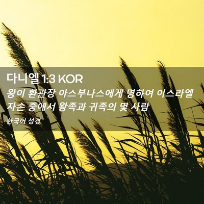 Picture 02 - 다니엘 1:3 KOR - 왕이 환관장 아스부나스에게 명하여 - Bible Verse Picture