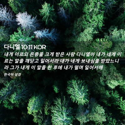 Picture 02 - 다니엘 10:11 KOR - 내게 이르되 은총을 크게 받은 사람 - Bible Verse Picture