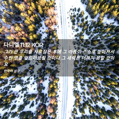 Picture 02 - 다니엘 11:12 KOR - 그가 큰 무리를 사로잡은 후에 그 - Bible Verse Picture