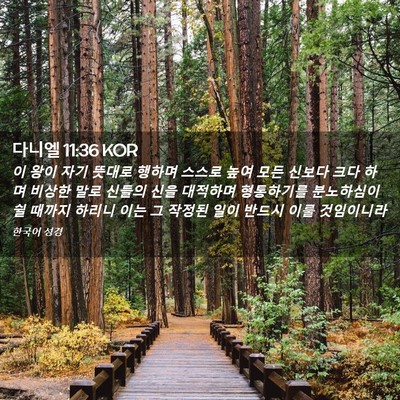 Picture 02 - 다니엘 11:36 KOR - 이 왕이 자기 뜻대로 행하며 스스로 - Bible Verse Picture
