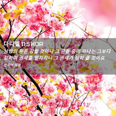 Picture 02 - 다니엘 11:5 KOR - 남방의 왕은 강할 것이나 그 군들 - Bible Verse Picture