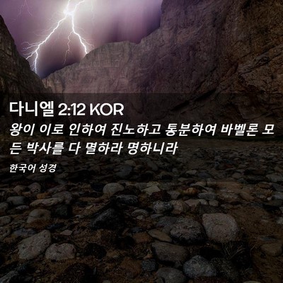 Picture 02 - 다니엘 2:12 KOR - 왕이 이로 인하여 진노하고 통분하여 - Bible Verse Picture