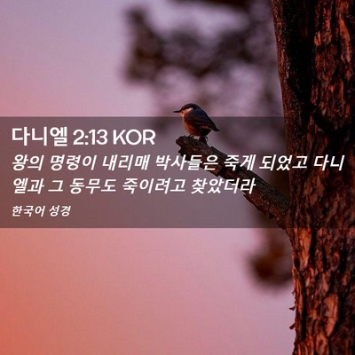 Picture 02 - 다니엘 2:13 KOR - 왕의 명령이 내리매 박사들은 죽게 - Bible Verse Picture