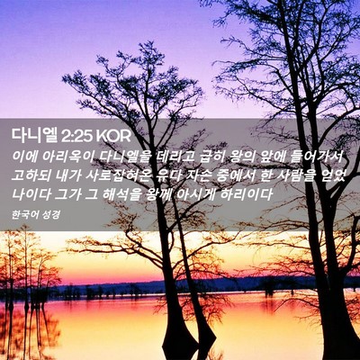 Picture 02 - 다니엘 2:25 KOR - 이에 아리옥이 다니엘을 데리고 급히 - Bible Verse Picture