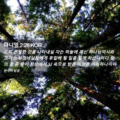 Picture 02 - 다니엘 2:28 KOR - 오직 은밀한 것을 나타내실 자는 - Bible Verse Picture