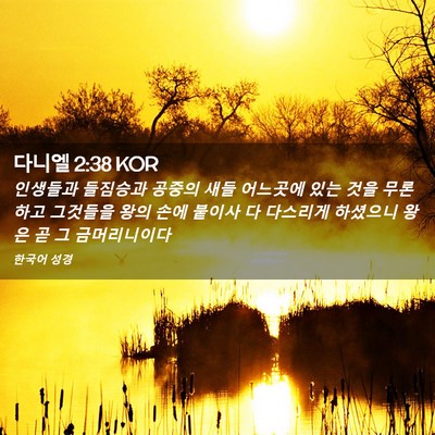 Picture 02 - 다니엘 2:38 KOR - 인생들과 들짐승과 공중의 새들 - Bible Verse Picture