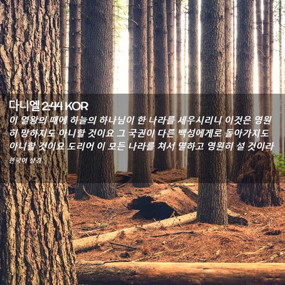 Picture 02 - 다니엘 2:44 KOR - 이 열왕의 때에 하늘의 하나님이 한 - Bible Verse Picture