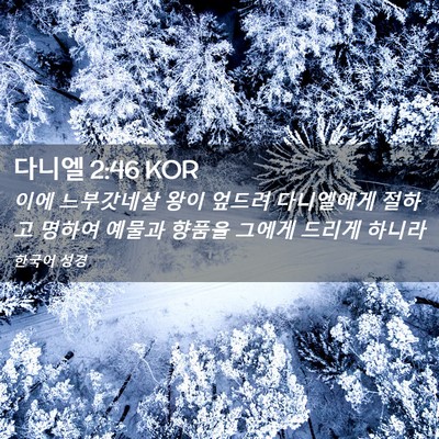Picture 02 - 다니엘 2:46 KOR - 이에 느부갓네살 왕이 엎드려 - Bible Verse Picture