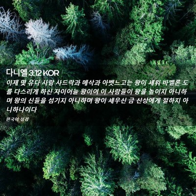 Picture 02 - 다니엘 3:12 KOR - 이제 몇 유다 사람 사드락과 메삭과 - Bible Verse Picture