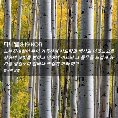 Picture 02 - 다니엘 3:19 KOR - 느부갓네살이 분이 가득하여 - Bible Verse Picture