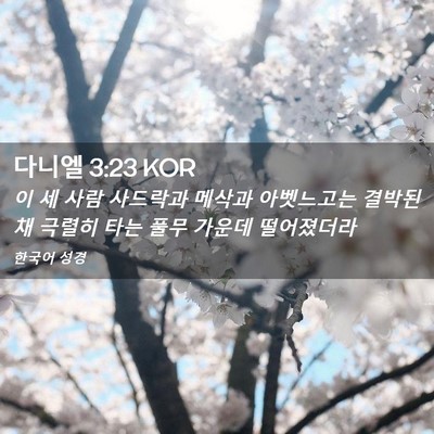 Picture 02 - 다니엘 3:23 KOR - 이 세 사람 사드락과 메삭과 - Bible Verse Picture