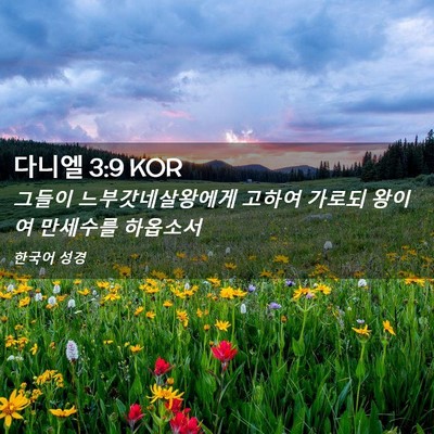 Picture 02 - 다니엘 3:9 KOR - 그들이 느부갓네살왕에게 고하여 - Bible Verse Picture