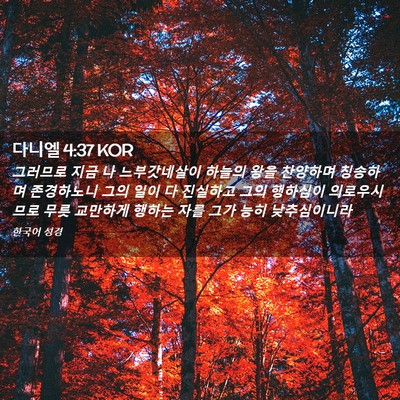 Picture 02 - 다니엘 4:37 KOR - 그러므로 지금 나 느부갓네살이 - Bible Verse Picture