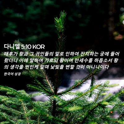 Picture 02 - 다니엘 5:10 KOR - 태후가 왕과 그 귀인들의 말로 - Bible Verse Picture