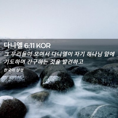 Picture 02 - 다니엘 6:11 KOR - 그 무리들이 모여서 다니엘이 자기 - Bible Verse Picture
