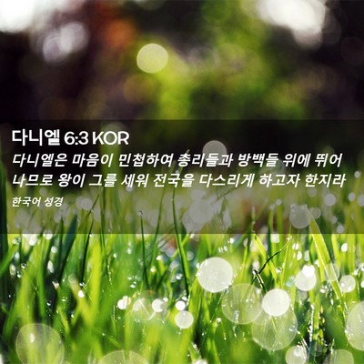 Picture 02 - 다니엘 6:3 KOR - 다니엘은 마음이 민첩하여 총리들과 - Bible Verse Picture