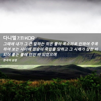 Picture 02 - 다니엘 7:11 KOR - 그때에 내가 그 큰 말하는 작은 뿔의 - Bible Verse Picture