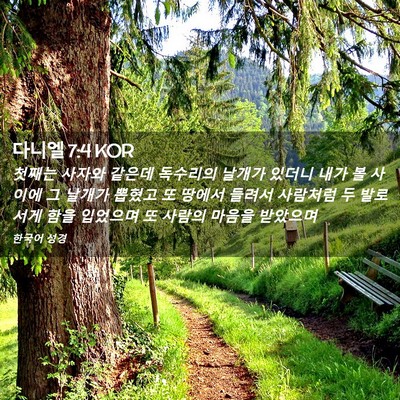 Picture 02 - 다니엘 7:4 KOR - 첫째는 사자와 같은데 독수리의 - Bible Verse Picture