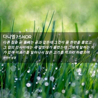 Picture 02 - 다니엘 7:5 KOR - 다른 짐승 곧 둘째는 곰과 같은데 - Bible Verse Picture