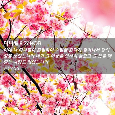 Picture 02 - 다니엘 8:27 KOR - 이에 나 다니엘이 혼절하여 수일을 - Bible Verse Picture