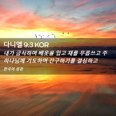 Picture 02 - 다니엘 9:3 KOR - 내가 금식하며 베옷을 입고 재를 - Bible Verse Picture