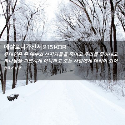 Picture 02 - 데살로니가전서 2:15 KOR - 유대인은 주 예수와 선지자들을 - Bible Verse Picture