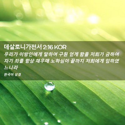 Picture 02 - 데살로니가전서 2:16 KOR - 우리가 이방인에게 말하여 구원 얻게 - Bible Verse Picture