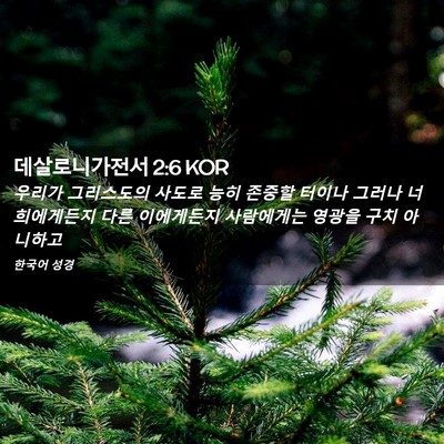 Picture 02 - 데살로니가전서 2:6 KOR - 우리가 그리스도의 사도로 능히 - Bible Verse Picture