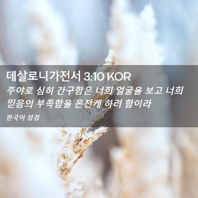 Picture 02 - 데살로니가전서 3:10 KOR - 주야로 심히 간구함은 너희 얼굴을 - Bible Verse Picture