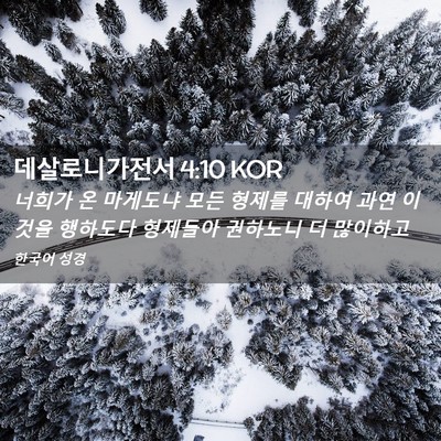 Picture 02 - 데살로니가전서 4:10 KOR - 너희가 온 마게도냐 모든 형제를 - Bible Verse Picture