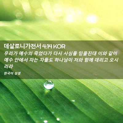 Picture 02 - 데살로니가전서 4:14 KOR - 우리가 예수의 죽었다가 다시 사심을 - Bible Verse Picture
