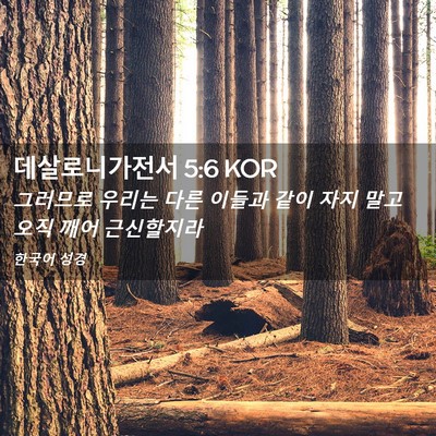 Picture 02 - 데살로니가전서 5:6 KOR - 그러므로 우리는 다른 이들과 같이 - Bible Verse Picture