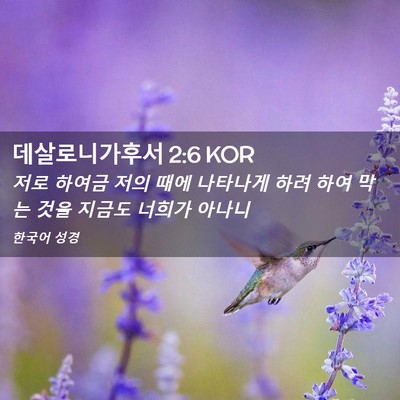 Picture 02 - 데살로니가후서 2:6 KOR - 저로 하여금 저의 때에 나타나게 - Bible Verse Picture