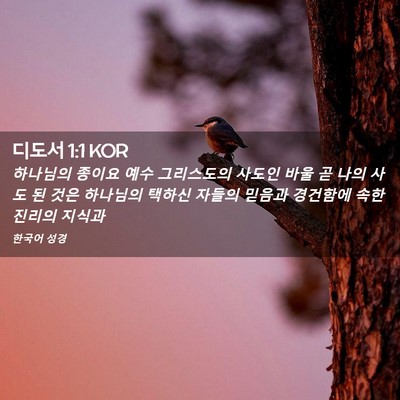 Picture 02 - 디도서 1:1 KOR - 하나님의 종이요 예수 그리스도의 - Bible Verse Picture