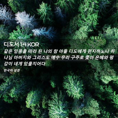 Picture 02 - 디도서 1:4 KOR - 같은 믿음을 따라 된 나의 참 아들 - Bible Verse Picture
