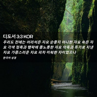 Picture 02 - 디도서 3:3 KOR - 우리도 전에는 어리석은 자요 순종치 - Bible Verse Picture